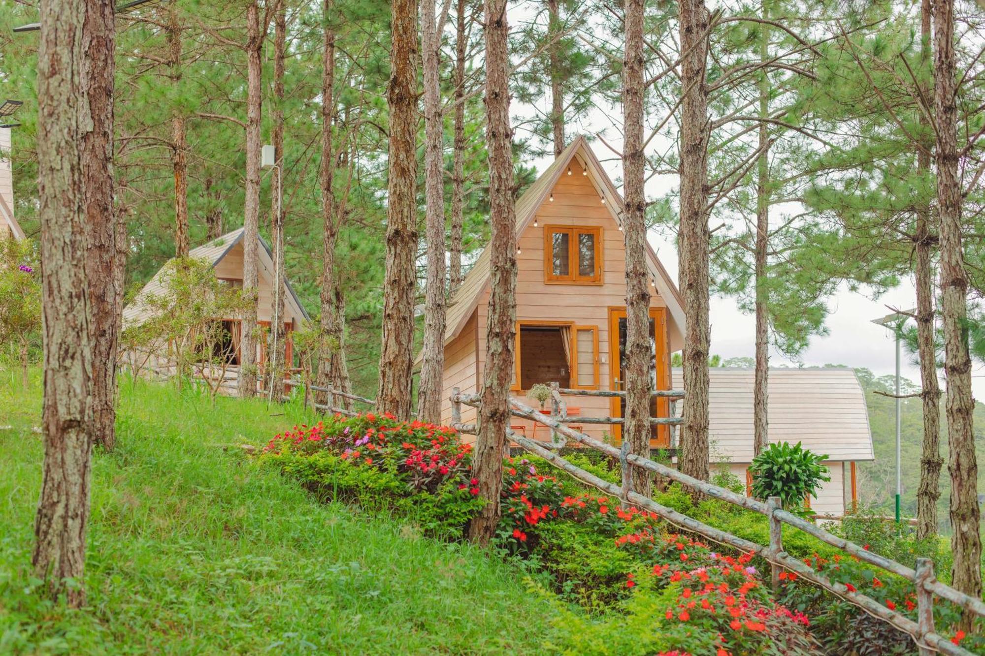Kim Resort - Khu Nghi Duong Rung La Kim 달랏 외부 사진